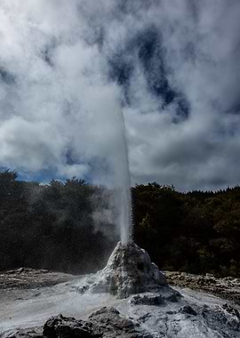 Taken in Wai O Tapu thermal Wonderland. Near Rotorua, N ...