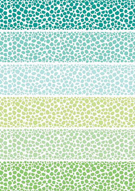 Riverside Zen Pebbles