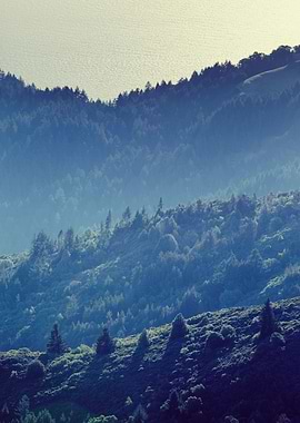 The Land and the Sea