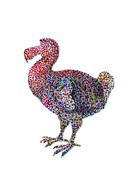 DODO color
