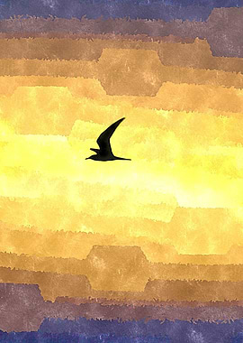 Abstract Seagull Flight