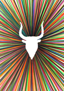 bull radiant color