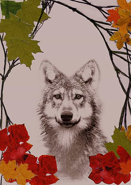 among the leaves (evening)