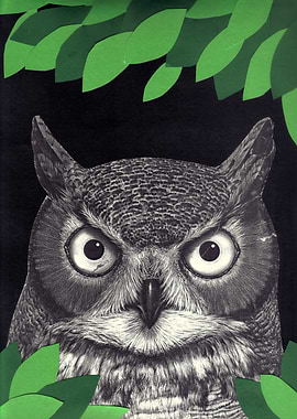 among the leaves (night)