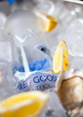 grey goose on ice