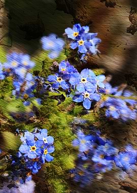 Forget me not, flowers of eternal faithfulness.