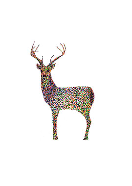 deer color