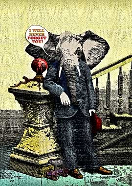 An Elephant Never Forgets