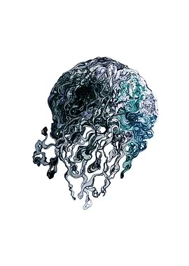 Dark Jelly Fish