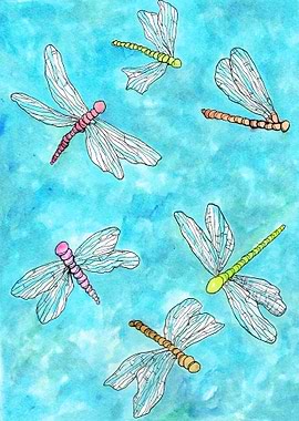 Dragonfly