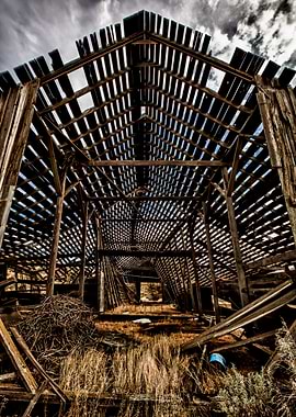 Surviving the test of time