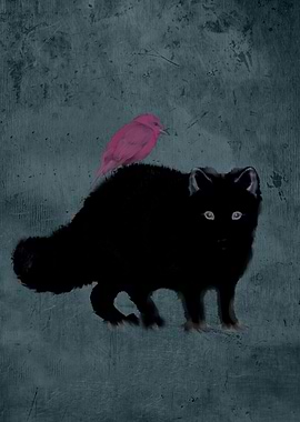 Cat and bird friends