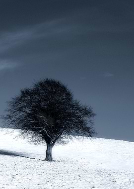 Left out in the Cold