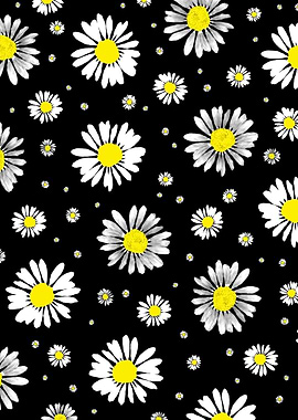 Daisies