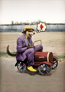 Barking Down the Highway