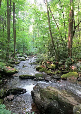 Anna Ruby Falls