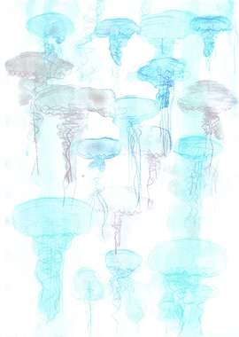 Jellyfish