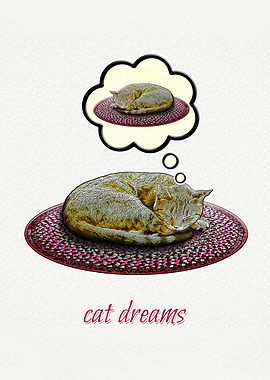 Cat Dreams