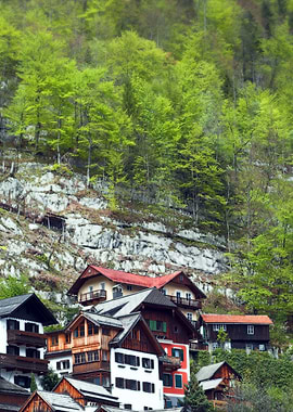 Chalets on the Mountainside