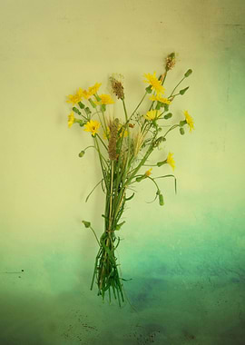 Yellow Weeds