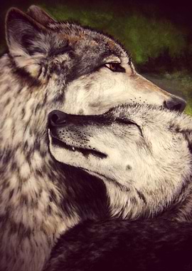 Wolves. I painted this on canvas board, acrylic paint. ...