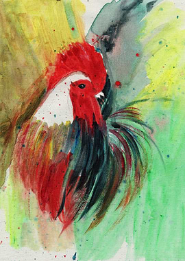 Rooster