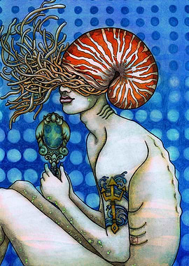 voyage of a perfect mind