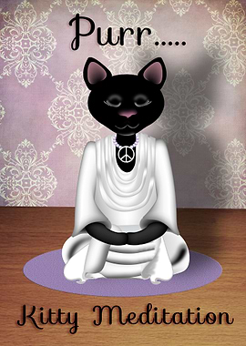 Kitty Meditation