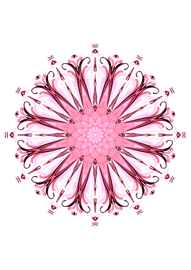 beuatiful pink floral sanskrit on white background
