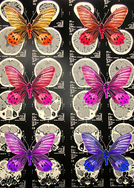 Experiment 4: transcendence