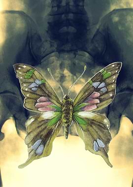 Experiment 5: Camouflage