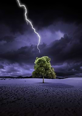 Lightning and tree