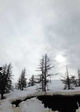 natural black and white