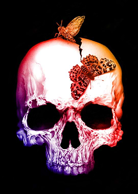 Skull and soul