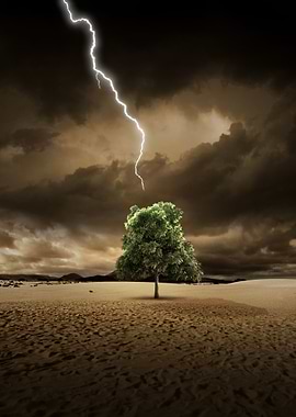 Lightning and tree