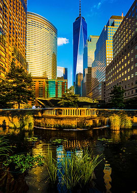 Sunset Colors Of New York