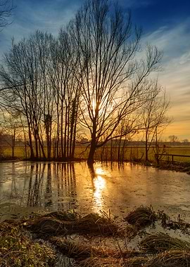 Sunset on pond