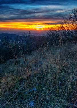 Winter sunset