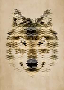 Geometric Wolf Portrait