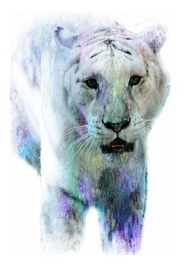 White Tiger through Pastels