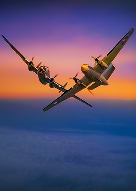 A Pair Of Flamingoes