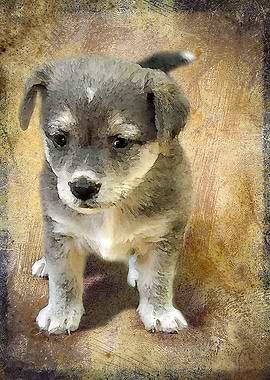 Puppy