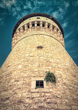 The tower