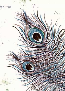 BOHO PEACOCK FEATHERS