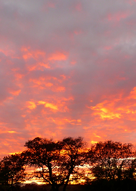 Sky on fire - An Italian Sunset