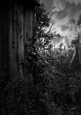 Oh What We Could Be If We Stopped Carrying The Remains ...