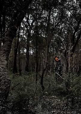 Pumpkin In The Woods