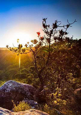 Sundown on Stanwell Tops