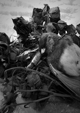 Songs That Loneliness Taught Me