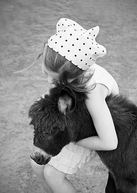 A little girl - my daughter - hugs a furry baby donkey. ...